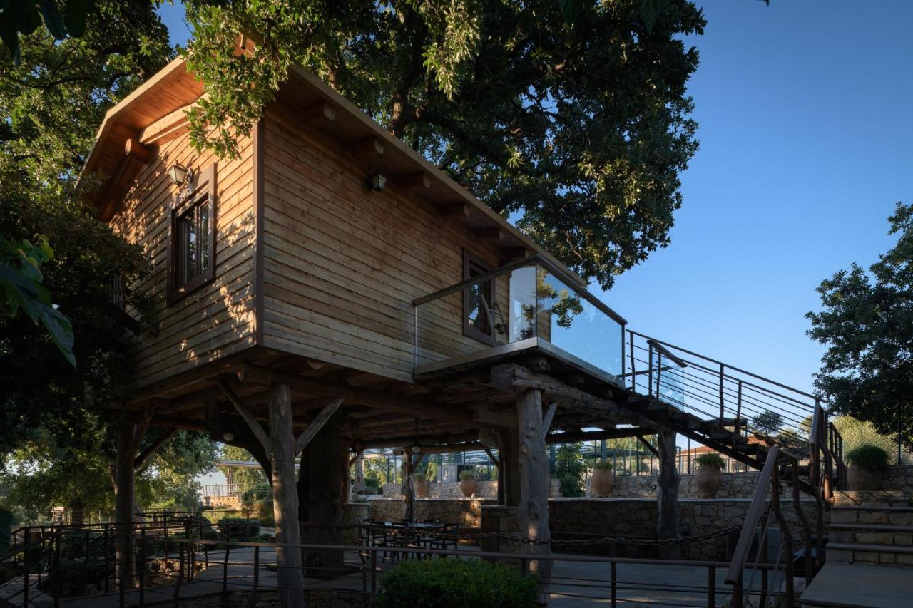 阿迪斯普普伦Stolidi Mou Treehouse别墅 外观 照片